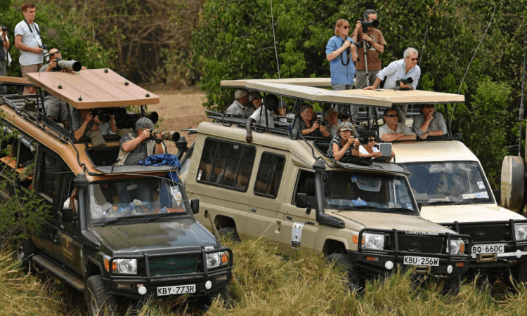 Is Kenya Safe for Tourists in 2026? Complete Safari Safety Guide